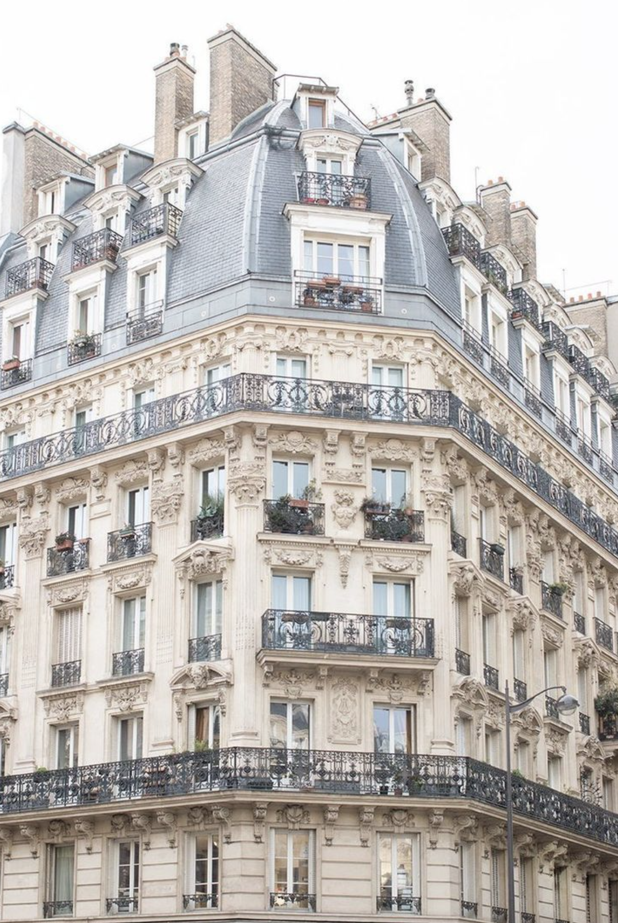 saint-germain